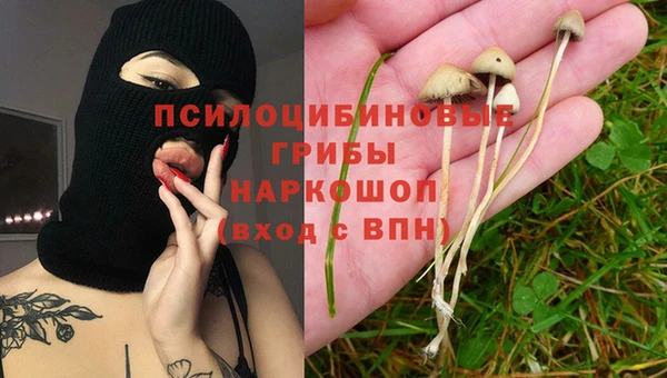 дживик Протвино