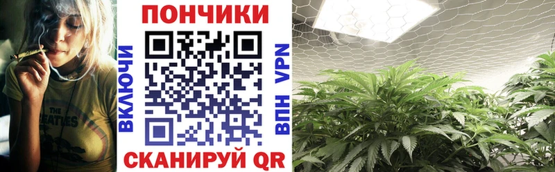 Шишки марихуана VHQ  Купить закладки  Кинешма 